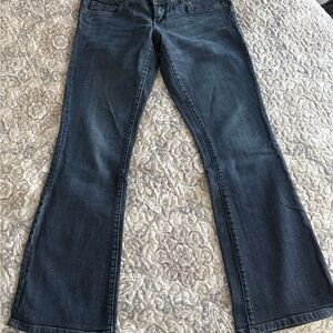 American Eagle Outfitters Dark Blue Flare Jeans